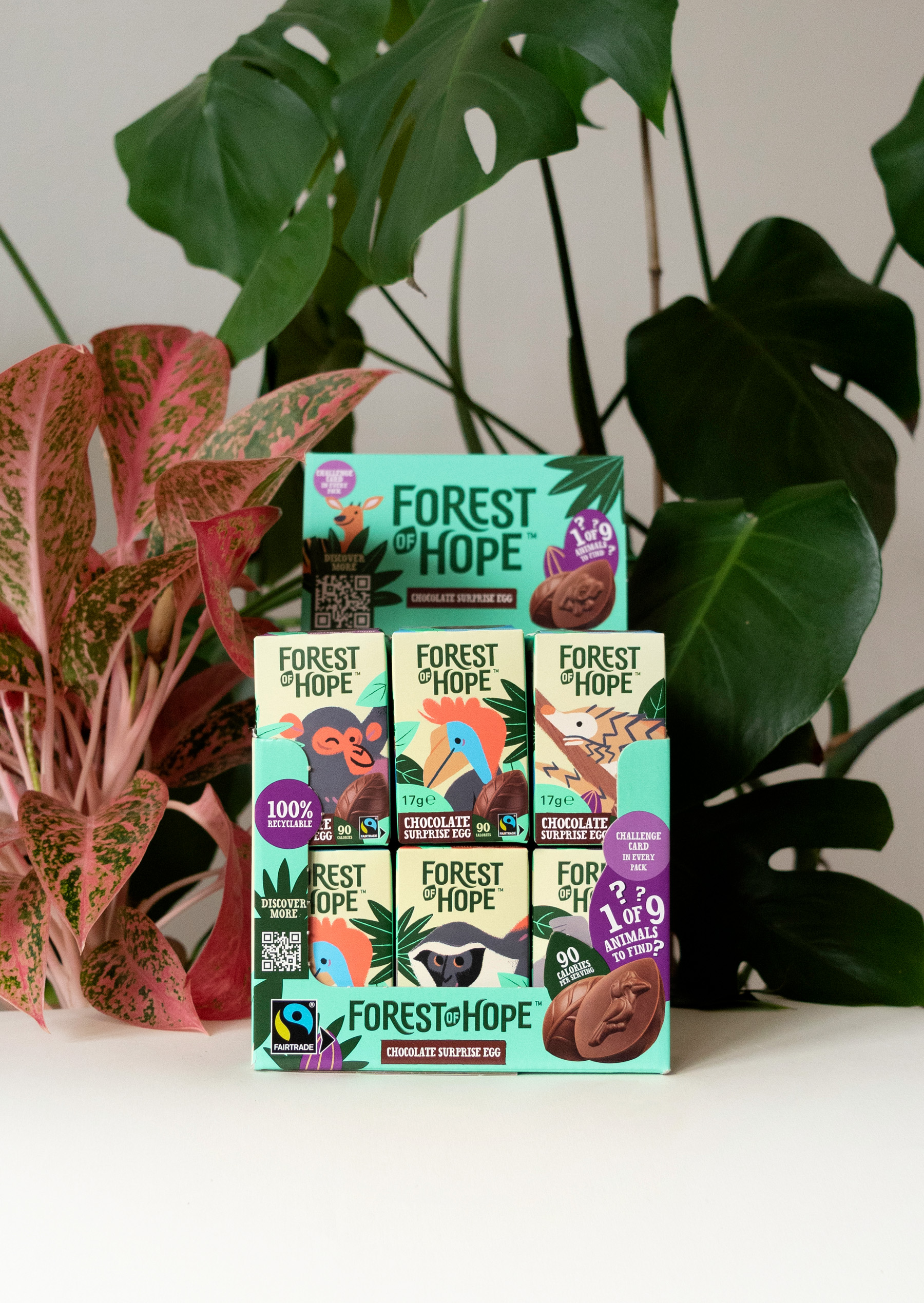 box_ForestoOfHope_CarolinaBuzio