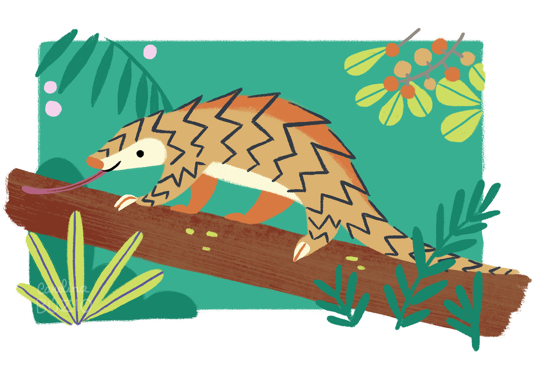 pangolin_pose2_ForestoOfHope_CarolinaBuzio